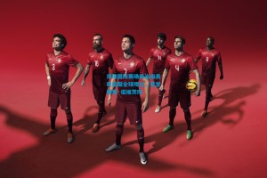 周琦国际赛场统治级表现征服全球观众，获誉德克·诺维茨琦