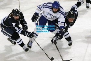 枪手双子星身价波动引关注，战术调整与市场预期成关键因素