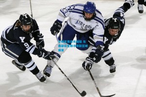 全明星赛星光璀璨 东西部巨星联手奉献篮球盛宴